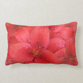 Bloem Rode Lily Garden Fotospoelen Kussen