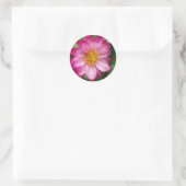 Bloem Ronde Sticker (Tas)