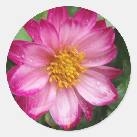 Bloem Ronde Sticker (Voorkant)