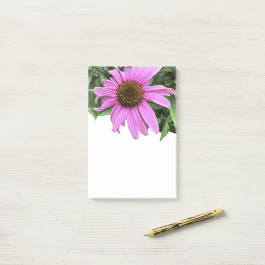 Bloem roze paarse daisy coneflower blad achtergron post-it® notes (Op bureau)