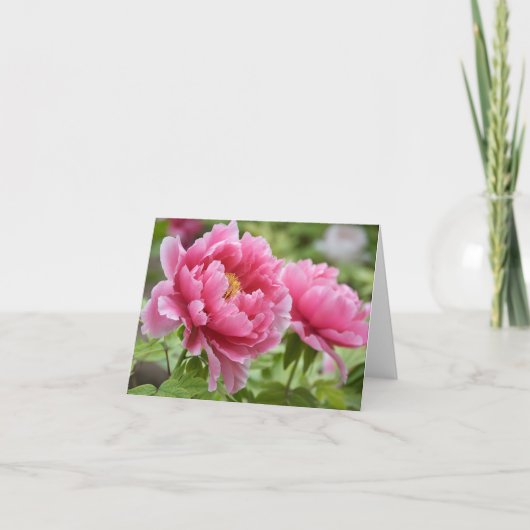 Bloem Roze Pioen Bloem Blank Bedankkaart (Voorkant)