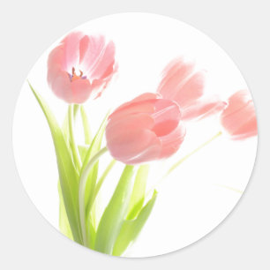 Bloem Roze Tulp Bloemen Sticker Zegel
