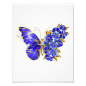 Bloem Saffier Vlinder Foto Afdruk (Voorkant)