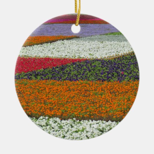 Bloem Tapijt Ornament (Voorkant)
