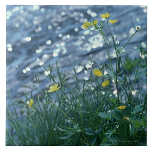 Bloem Tegeltje (Voorkant)