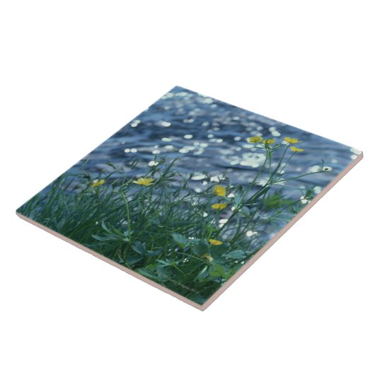 Bloem Tegeltje (Zijkant)