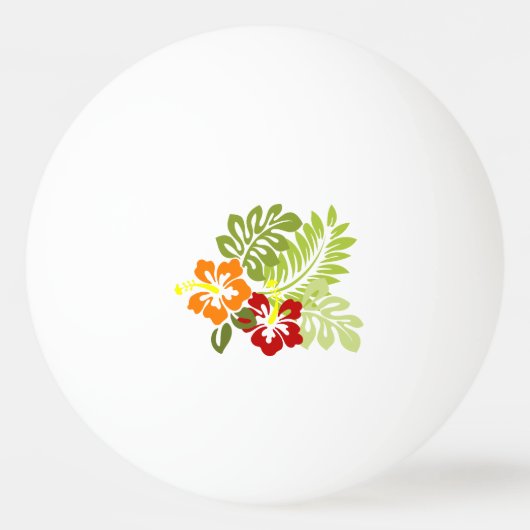 Bloem Tropisch lekt Hibiscus Hawaii rood Sinaasapp Pingpongbal (Voorkant)