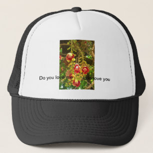 bloem trucker pet