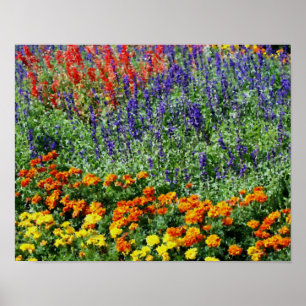 Bloem Tuin Digitale Kunstschildering Poster