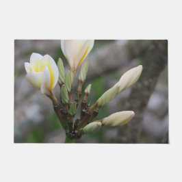 bloem, tuin, zomer, natuur, bougainvillea, deurmat