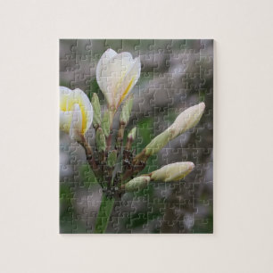 bloem, tuin, zomer, natuur, bougainvillea, legpuzzel