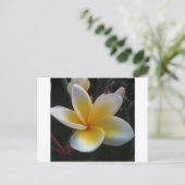 bloem uit thailand briefkaart (Staand voorkant)