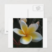 bloem uit thailand briefkaart (Voorkant / Achterkant)
