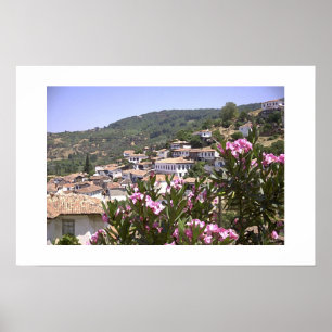 Bloem uitzicht poster