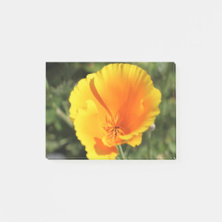 Bloem van Californische papaver Post-it® Notes