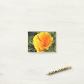 Bloem van Californische papaver Post-it® Notes (Op bureau)