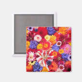 Bloem van Dalhia, Oriental Lilies Magneet (Voorkant / Achterkant)