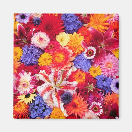 Bloem van Dalhia, Oriental Lilies Magneet (Voorkant)