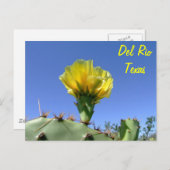 Bloem van de de herinneringen de gele cactus van briefkaart (Voorkant / Achterkant)