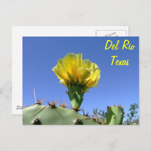 Bloem van de de herinneringen de gele cactus van briefkaart (Voorkant / Achterkant)