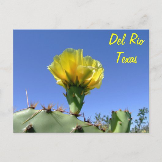 Bloem van de de herinneringen de gele cactus van briefkaart (Voorkant)