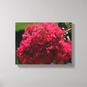 Bloem van de Japanse kersenbloesem Canvas Afdruk (Voorkant)