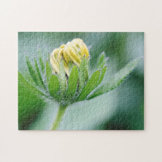 Bloem van de kegelbloem die opengaat legpuzzel (Horizontaal)