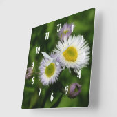 Bloem van de Madeliefjes van Fleabane de Uiterst Vierkante Klok (Hoek)