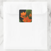 Bloem van de Ster van Bethlehem Plant Vierkante Sticker (Tas)