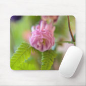Bloem van een Aquilegia Muismat (Met muis)