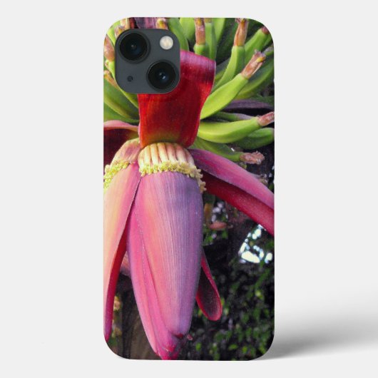 Bloem van een banaan in close-up Case-Mate iPhone case (Achterkant)