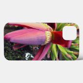 Bloem van een banaan in close-up Case-Mate iPhone case (Achterkant (horizontaal))