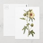 bloem-van-een-uur (trionum van de Hibiscus) door Briefkaart (Voorkant / Achterkant)
