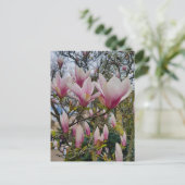 Bloem van grote roze magnolibloemen briefkaart (Staand voorkant)