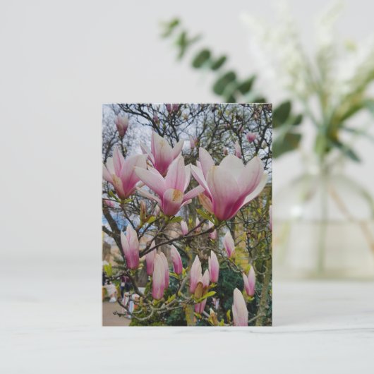 Bloem van grote roze magnolibloemen briefkaart (Staand voorkant)