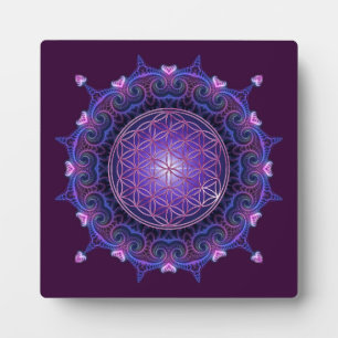 BLOEM VAN HET LEVEN / Blume des Lebens - Mandala I Fotoplaat
