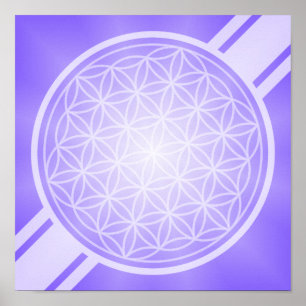 Bloem van het leven / Blume des Lebens - wit trans Poster