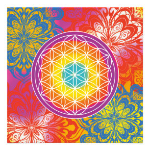 Bloem van het leven mandala zen foto afdruk