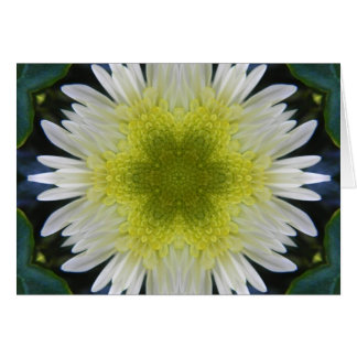 Bloem van Hope Mandala