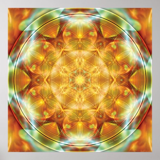 Bloem van Life Mandala 16 Poster (Voorkant)