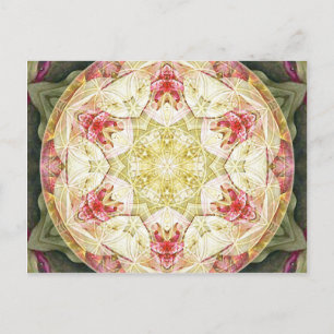 Bloem van Life Mandala 6-kaarten Briefkaart