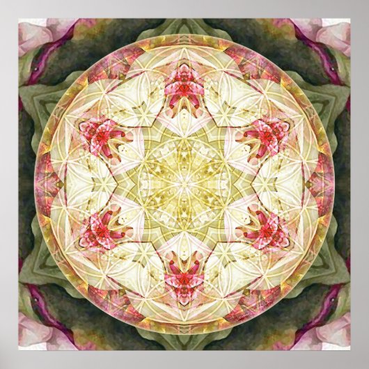 Bloem van Life Mandala 6 Poster (Voorkant)