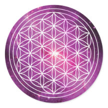 Bloem van Life Pink Galaxy