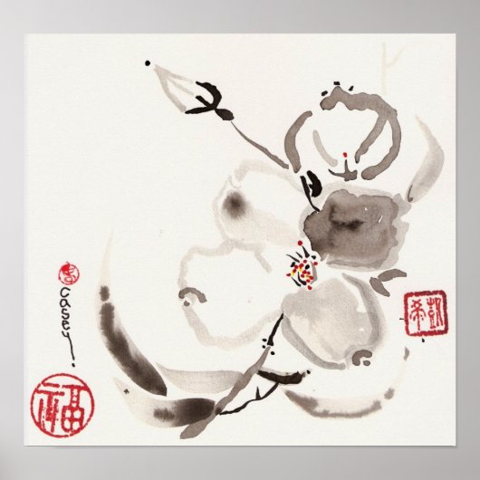 Bloem van wit poster (Voorkant)