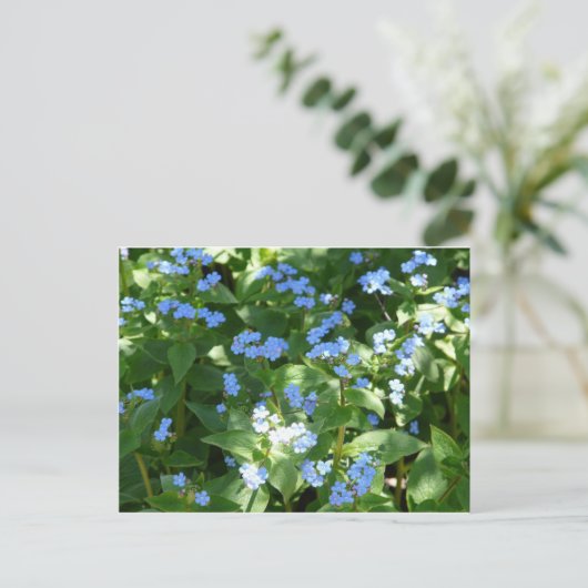Bloem, vergeet-mij-niet briefkaart (Staand voorkant)