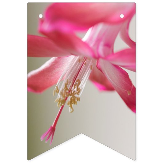 bloem vlaggetjes (Derde vlag)