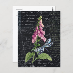   Bloem & Vlinder Botanisch Briefkaart