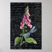   Bloem & Vlinder Botanisch Poster (Voorkant)