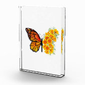 Bloem vlinder met gele Californische pap Fotoblokken (Rechts)