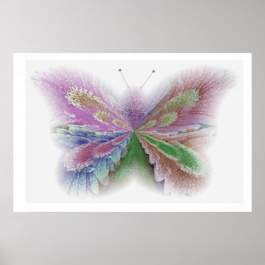 Bloem Vlinder Poster (Voorkant)